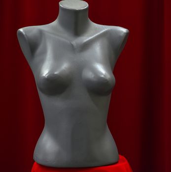 picture of a Female fashion mannequin isolated on red background