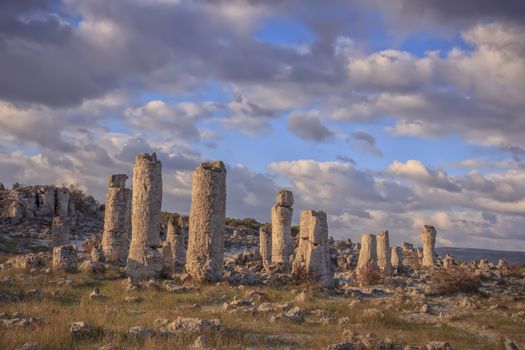 Pobiti Kamani - natural rock formations in Varna Province, Bulgaria .