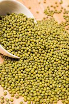 The mung bean was domesticated in Persia (Iran), where its progenitoroccurs wild. Archaeology has turned up carbonized mung beans in many sites in India. Exhibit Powerful Antioxidant Properties.