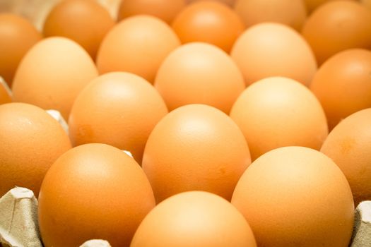 The Nutritional Value of  Egg whites are a low-calorie, fat-free food. They contain the bulk of the egg’s protein and Egg Yolks It is true, egg yolks carry the cholesterol, the fat and saturated fat.