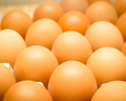 The Nutritional Value of  Egg whites are a low-calorie, fat-free food. They contain the bulk of the egg’s protein and Egg Yolks It is true, egg yolks carry the cholesterol, the fat and saturated fat.