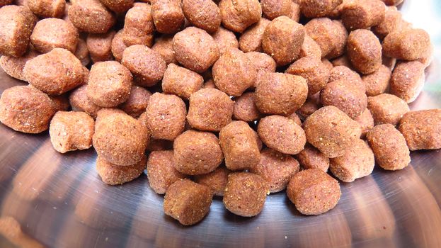 A bowl full of delicious dog food from the perspective of a dog