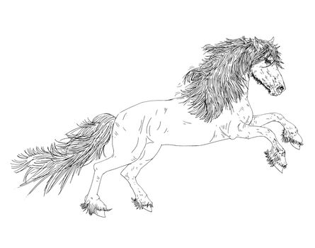Running horse