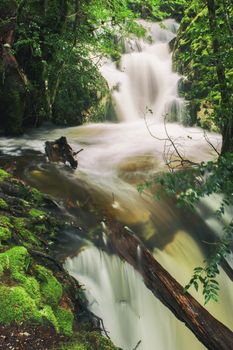 Knyvet Falls in Cradle Mountain, Tasmania after heavy rainfall.