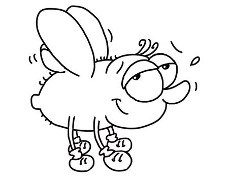A flying fly