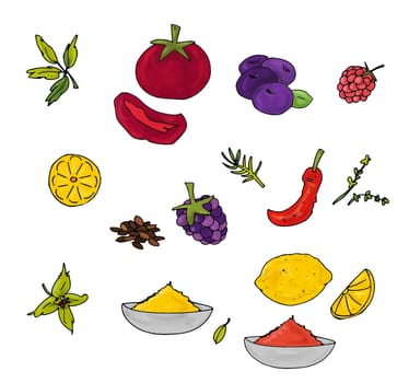 Cinnamon, chili, tomatoes, dried, paprika, fruits, forest, spices,
illustration,