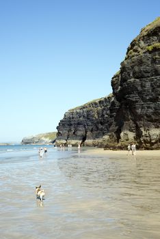 tourists and dog in ballybunion beach and cliffs on the wild atlantic way at low tide