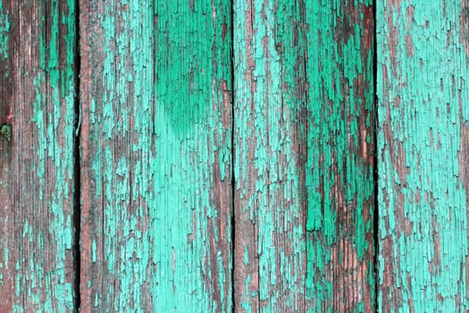 Texture of old wooden planks with cracked green paint closeup