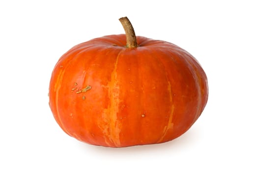 orange pumpkin on a white background