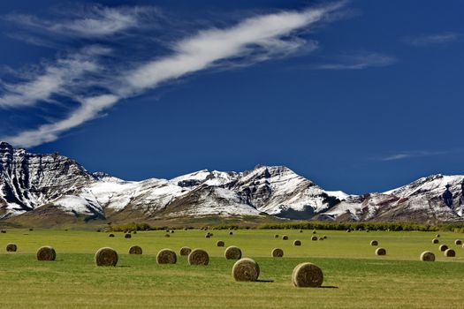 Peaceful Alberta, Canada farm range with rolled hay bales, snowy Canadian Rockies, and beautiful sky.  Horizontal landscape with no people. Location is Pincher Creek near Waterton Lakes National Park. Date is September 13, 2016. 