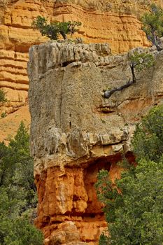 Vermilion, tan, and green colors of the sandstone spires and jagged rock formations of Red Canyon in Utah near Bryce Canyon National Park. Landscape photograph is vertical without people. 