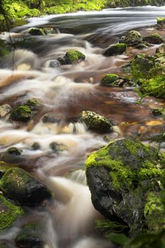 Newell creek is a magnificent fast running stream in Tasmania, Australia