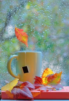 Tea cup at the window with  leaves and drops after rain in autumn 