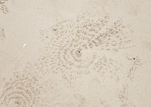 crab hole background texture wallpaper                               