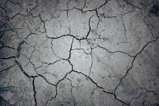 dry mud land background texture. Global Warming concept                               