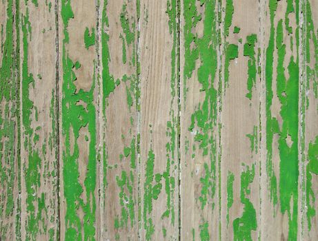 Old wood board painted green, background texture                               