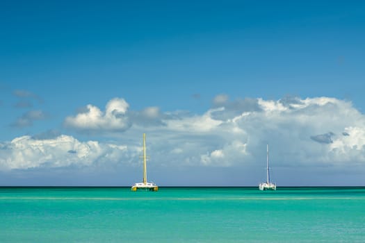 Catamarans moored in a tropical beach