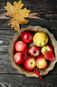 Tray with apples and viburnum and maple fallen leaf