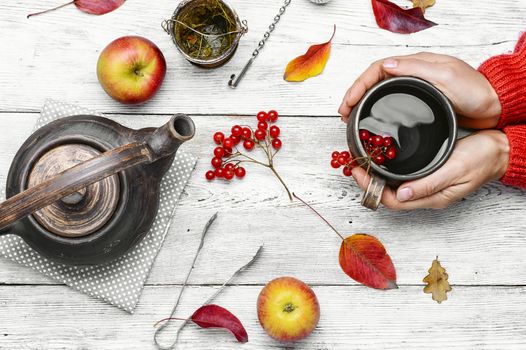 Warm cup of autumn tea with berries in his hands.Still life with kettle,berries and apple