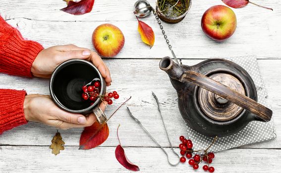 Warm cup of autumn tea with berries in his hands.Still life with kettle,berries and apple