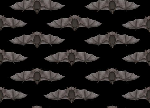 Flying bat in seamless black background for Halloween - 3D render