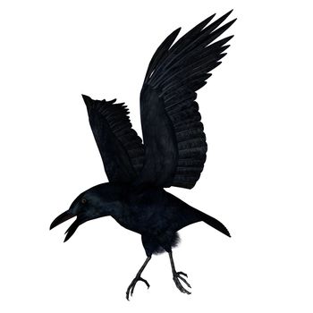 Black crow flying on a white background - 3D render