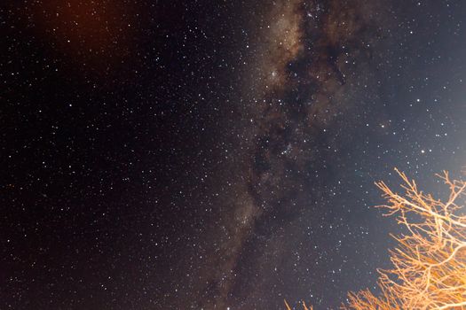 Beautiful photo of the Milky Way galaxy in Hogsback South Africa