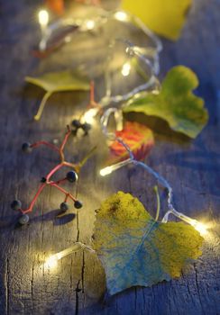 Autumn leaves on wooden board and christmas lights glowing