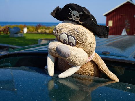 Funny stuffed toy walrus stands as a joke by the sea 