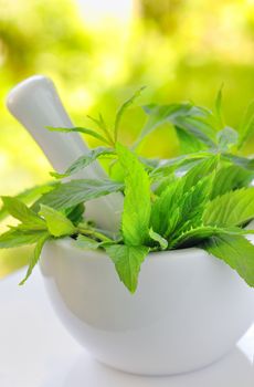 branch of fresh mint in  stone mortar