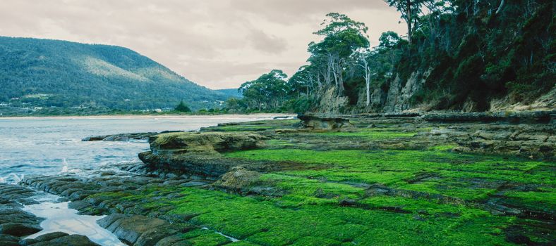 View of Tessellated Pavement in Pirates Bay, Tasmania.