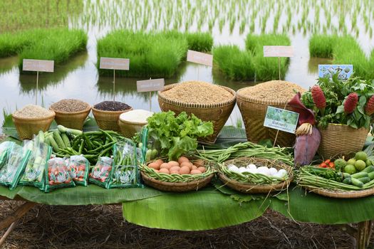 SINGBURI - THAILAND 18 : Agricultural products such as rice, beans, cucumbers, tomatoes, vegetables and egg of farmers at Bangrachan on October 18, 2016 in Singburi, Thailand.