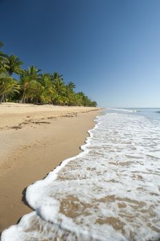 Tranquil summer day on Mission Beach, Queensland, Australia with gentle surf lapping the golden sand in a scenic landscape