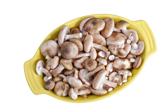 Raw fresh mushrooms in a roasting pan,isolated on white background