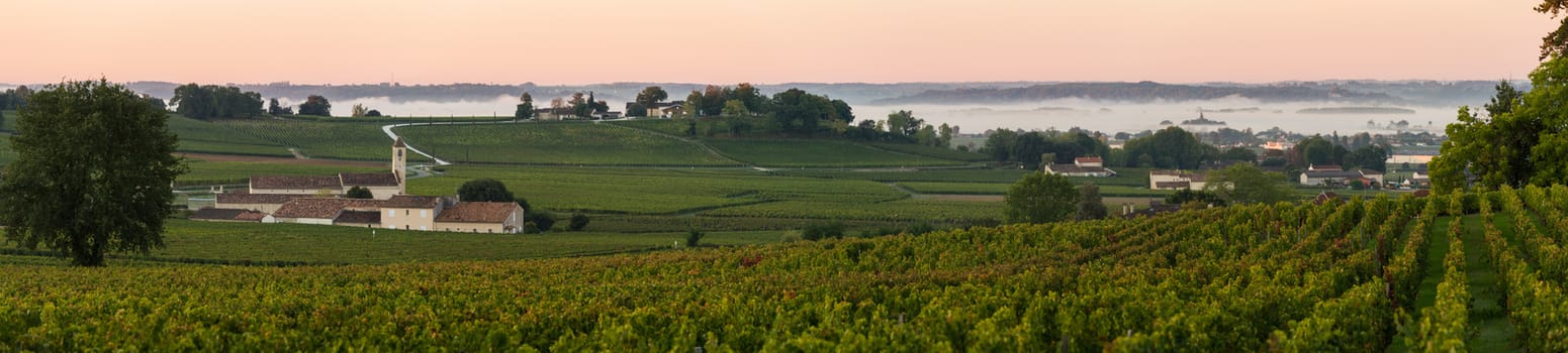 Saint Emilion, Vineyard Sunrise, Bordeaux Wine, France