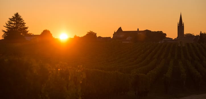 Saint Emilion, Vineyard Sunrise, Bordeaux Wine, France