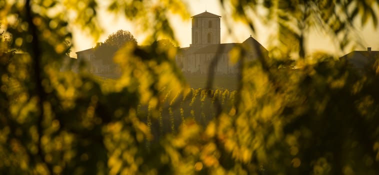 Saint Emilion, Vineyard Sunrise, Bordeaux Wine, France