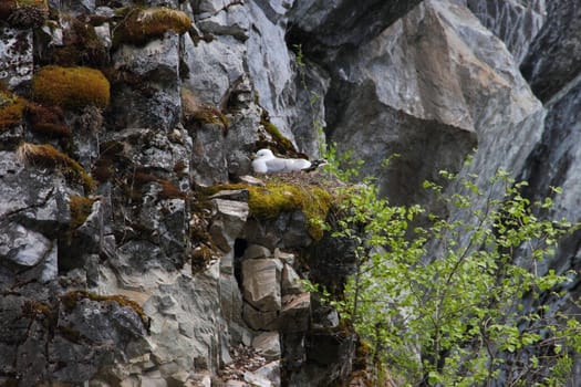 Marble quarry in Ruskeala, Karelia, Russia. View from the boat in the spring.