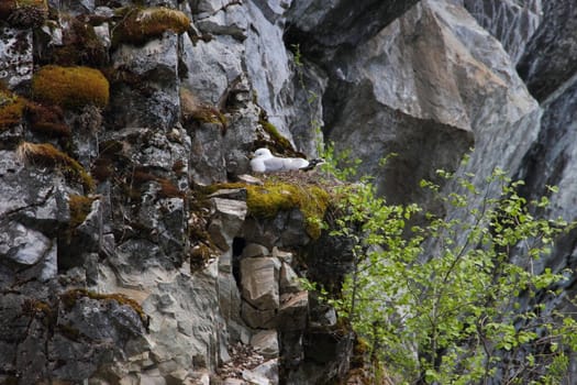 Marble quarry in Ruskeala, Karelia, Russia. View from the boat in the spring.