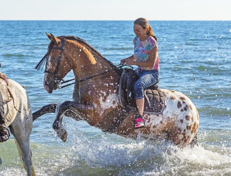 woman and appaloosa horse walking on the beach