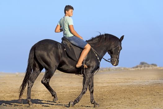young rider and his horse on the beach