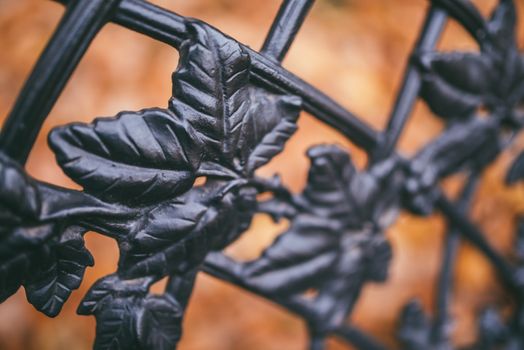 Image of a decorative cast iron fence and autumn orange leaves as background.