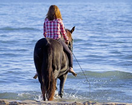 horse woman and her stallion riding in the sea