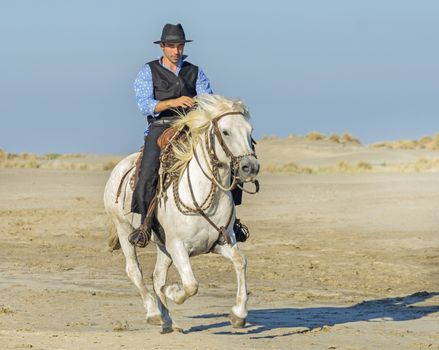 herdsman on the beach whit his Camargue horse