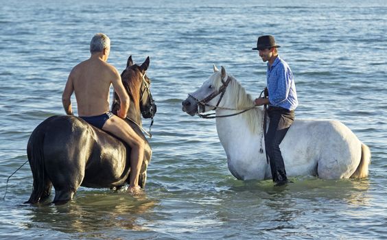 two riders walking with their horses in the sea