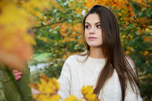 Polish forest with colorful leaves. Portrait of young female model with autumn scenery. 