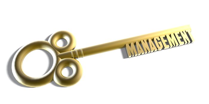 Instant Access to Management as a Key Concept