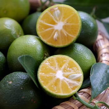 Green Kumquat fruit on wooden background, a popular agriculture product of Vietnam, rich vitamin c, healthy fruit