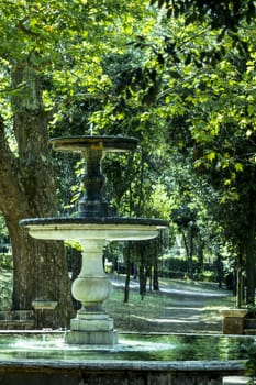 Fonta Villa Borghese