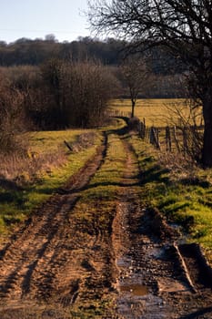 Dirt track through fields filled  with mud after rains.